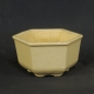 Preview: Eckige Bonsaischale 0.18/6,2cm, beige