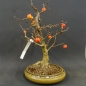 Preview: Bonsai, Malus, Evereste, Blüte, Zierapfel