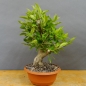 Preview: product image
