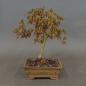 Preview: product image
