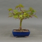 Preview: product image