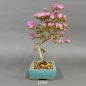 Preview: Satsuki, Azalee, Bonsai