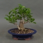 Preview: product image