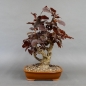 Preview: product image