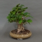 Preview: product image