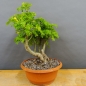 Preview: product image