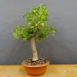 Preview: product image