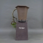 Preview: Fichte, Picea, hinten