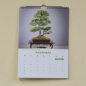 Preview: Bonsaikalender 2018