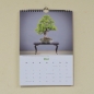 Preview: Bonsaikalender 2018