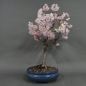 Preview: Blütenkirsche Bonsai