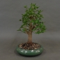 Preview: product image
