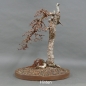 Preview: Larix, Lärche, Bonsai