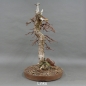 Preview: Larix, Lärche, Bonsai
