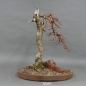 Preview: Laerche , Bonsai im Winter