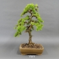 Preview: product image