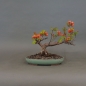 Preview: product image