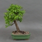 Preview: product image
