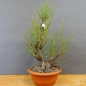 Preview: product image