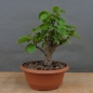 Preview: product image