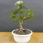 Preview: product image