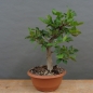 Preview: product image
