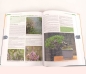 Preview: Buch - Bonsai gestalten mit heimischen Gehölzen