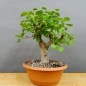 Preview: product image
