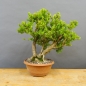 Preview: product image