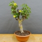Preview: product image