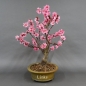 Preview: Pfirsisch, Bonsai