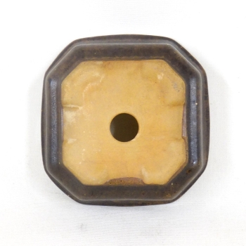 Quadrat. Bonsaischale 0.11/9,8cm, braun