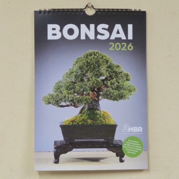 Kalender Bonsai 2026 - Format A3