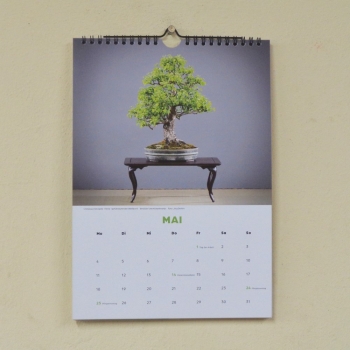 Preview: Bonsaikalender 2018
