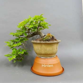 hinten