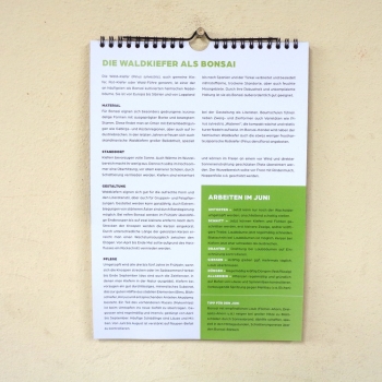 Preview: Bonsaikalender 2018