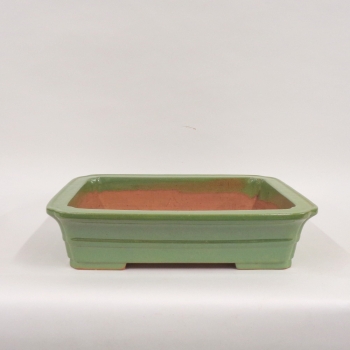 Rechteckige Bonsaischale, 60cm, gruen