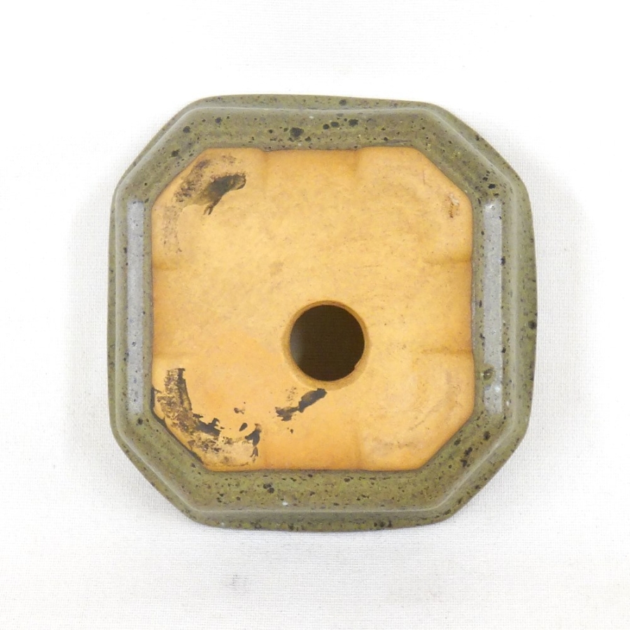 Quadrat. Bonsaischale 0.12/9,8cm, grün