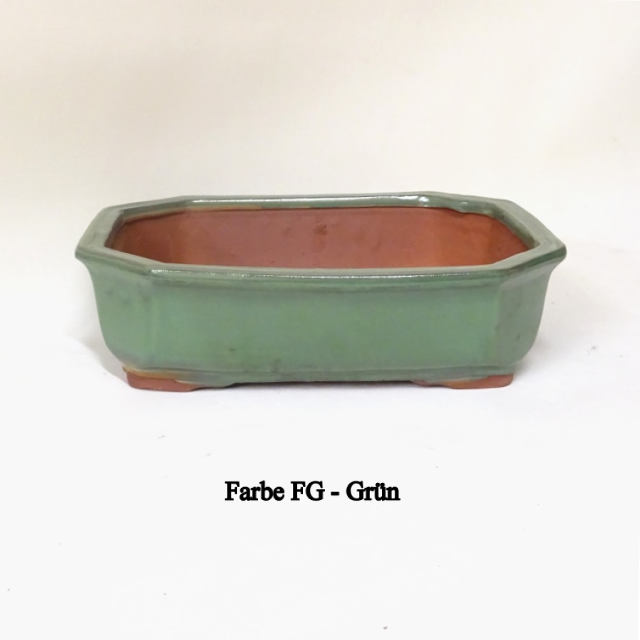 eckige Schale grün