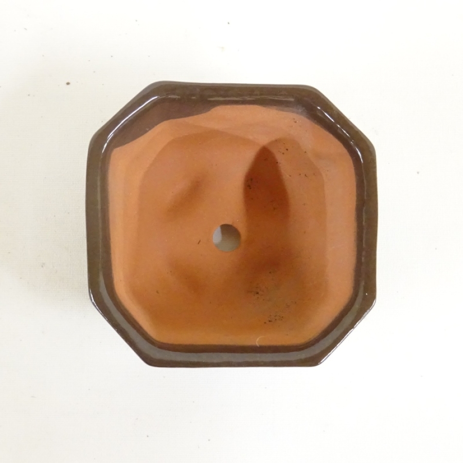 Bonsaischale oval