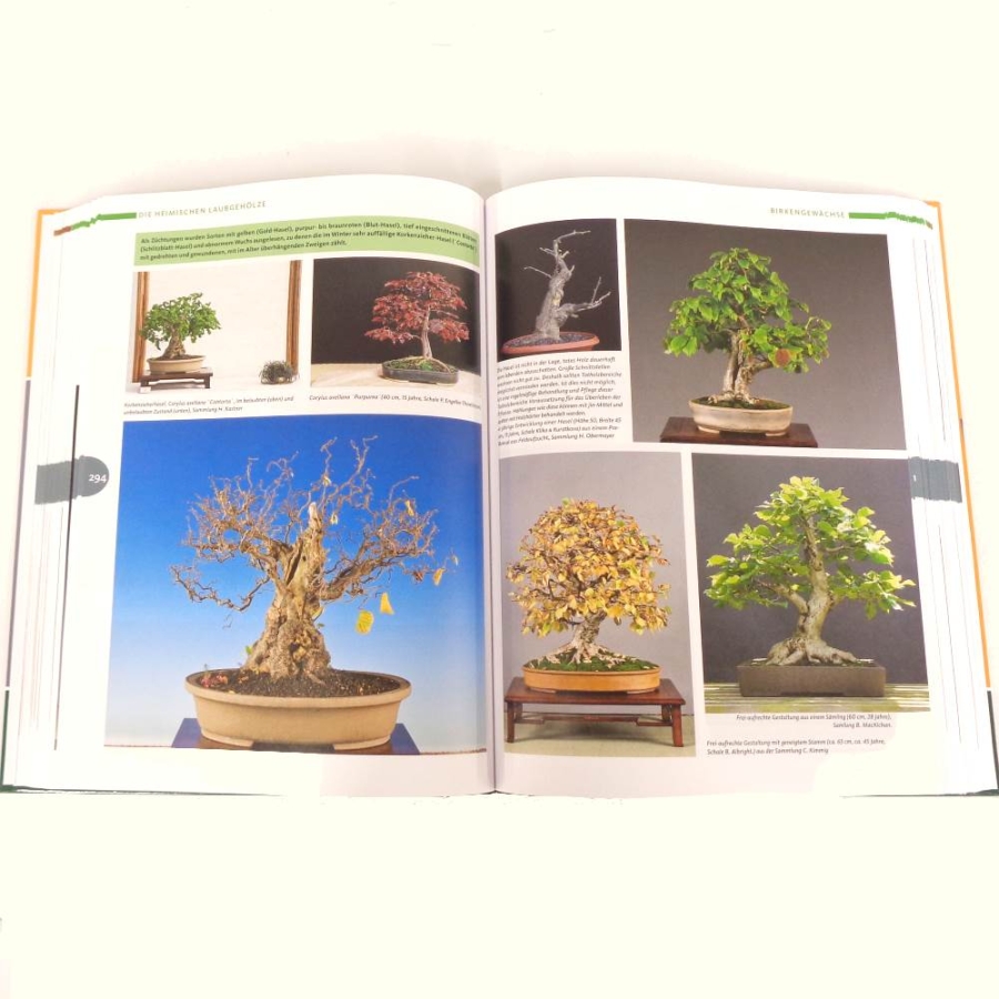 Buch - Bonsai gestalten mit heimischen Gehölzen