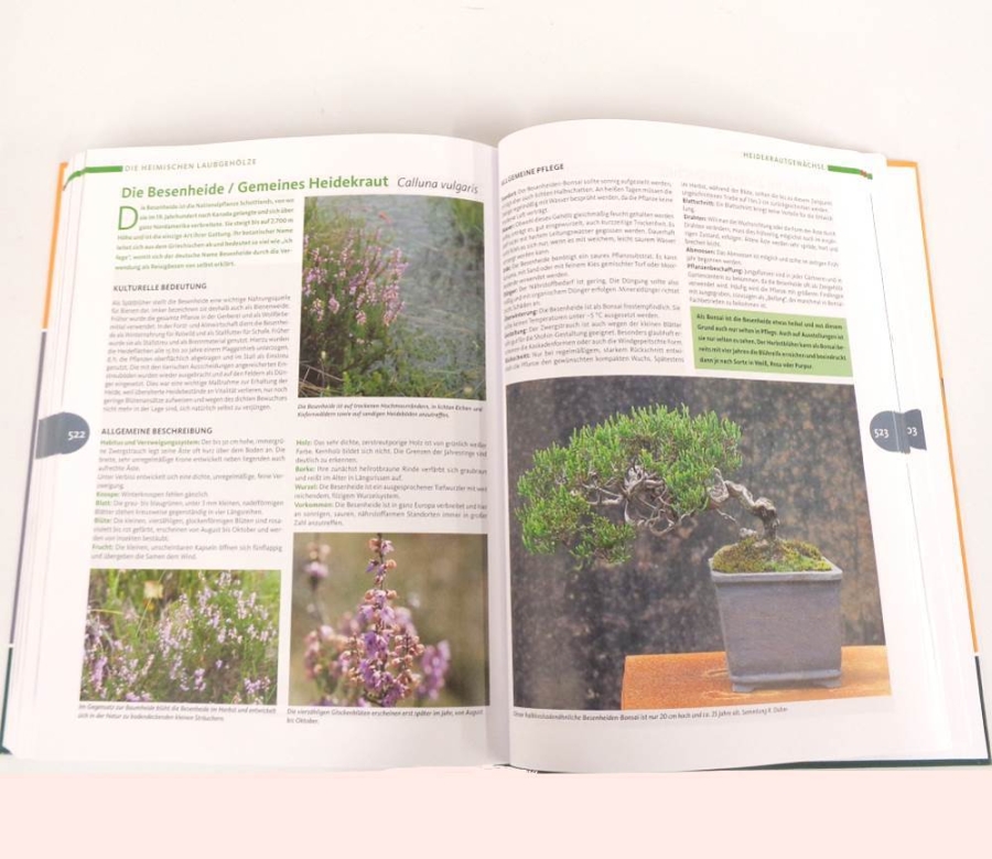 Buch - Bonsai gestalten mit heimischen Gehölzen