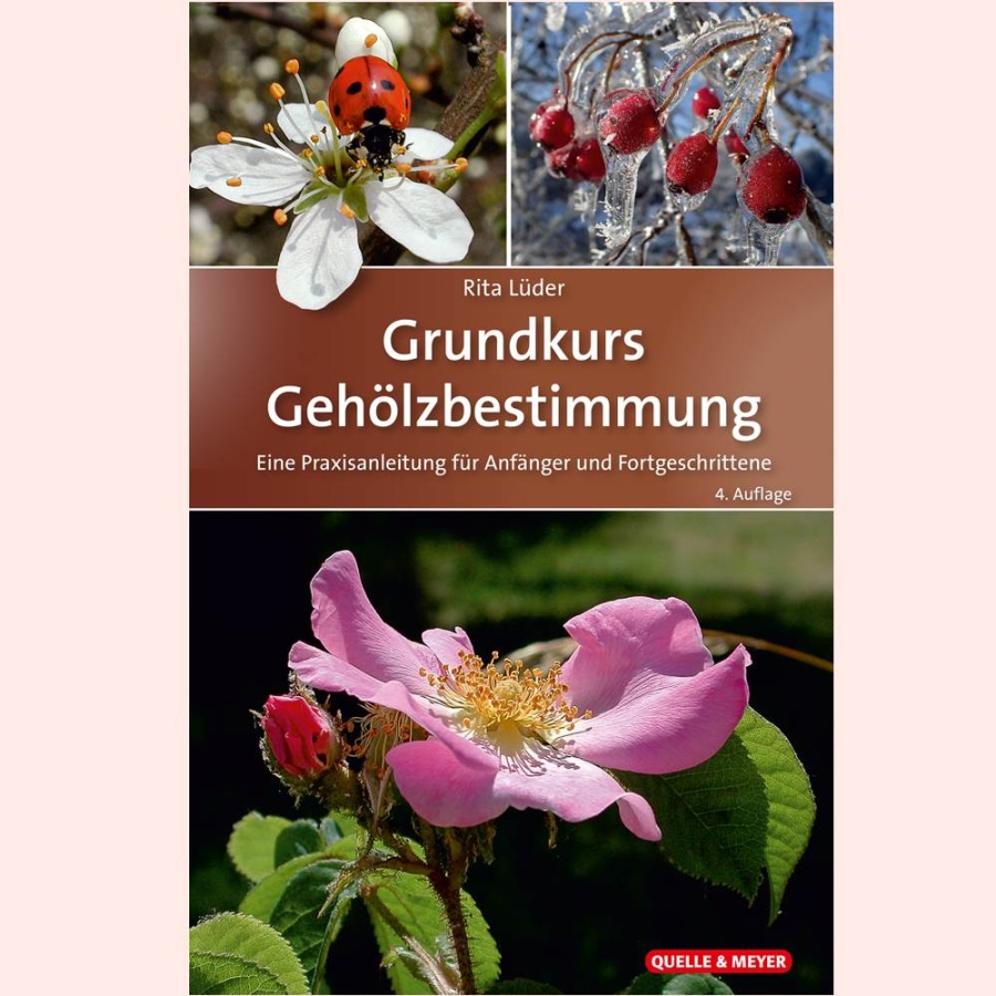 Fachbuch Gehölzbestimmung