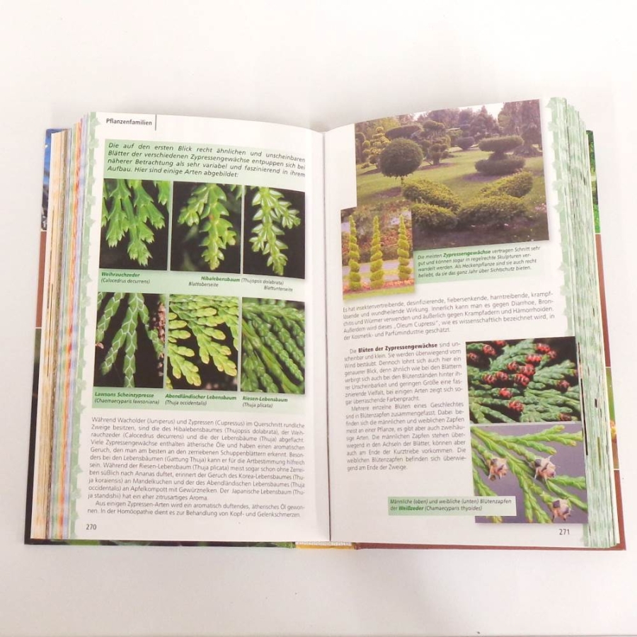 Fachbuch Gehölzbestimmung