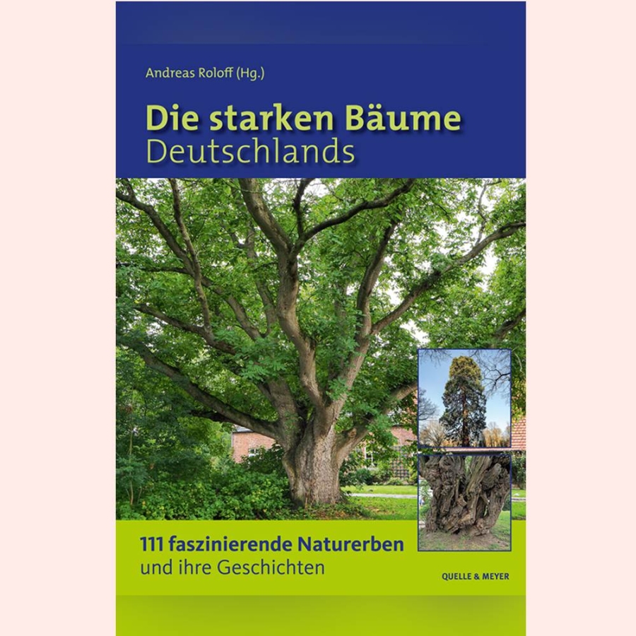 Buch - Starke Bäume