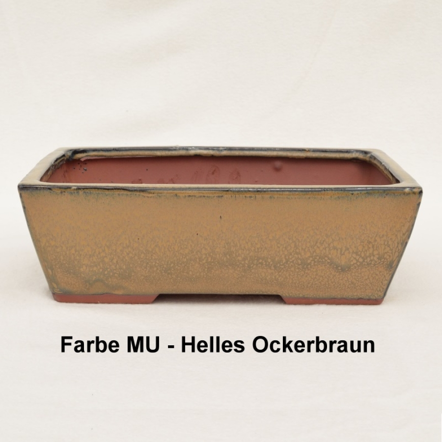 eckige Schale ocker