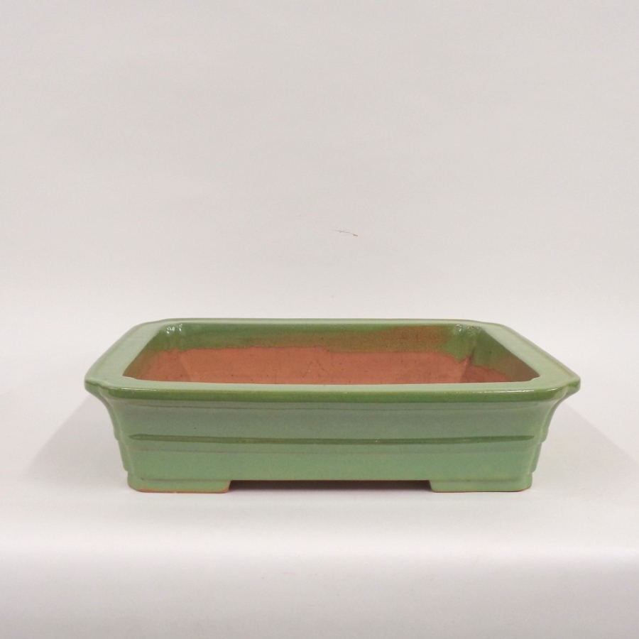 Rechteckige Bonsaischale, 60cm, gruen